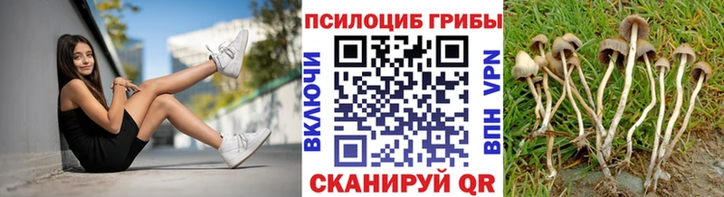 Галлюциногенные грибы ЛСД Купить где Гороховец